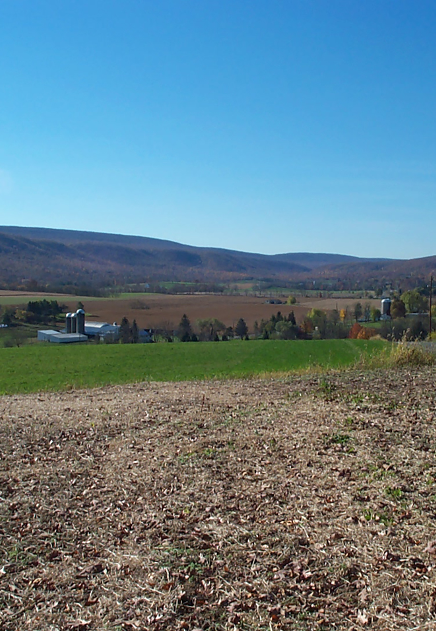 Farm and farm owners