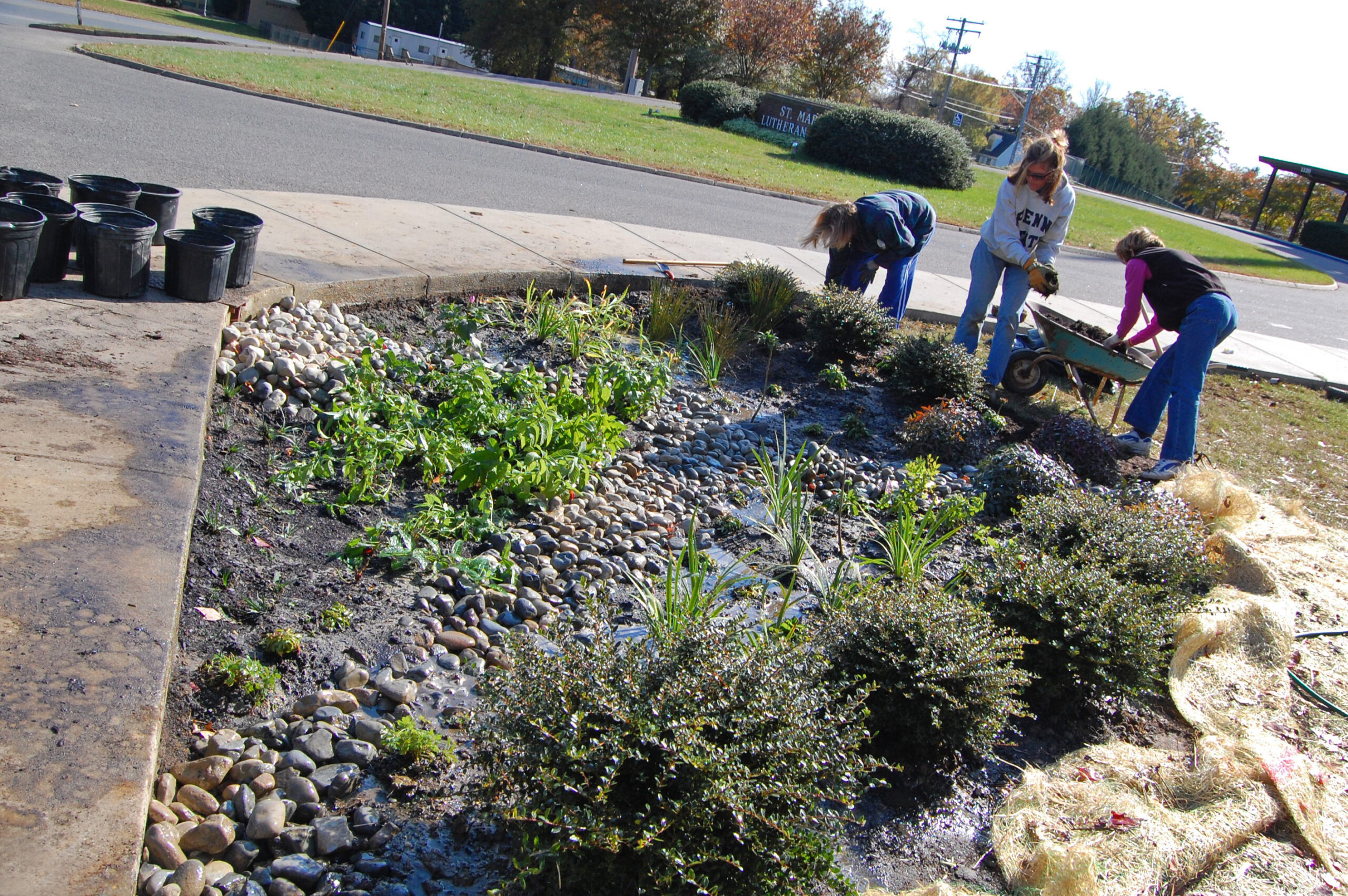 Rain-Garden-2